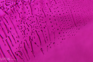 A flux-healed fingerprint in a heated ruby from Myanmar (Burma).