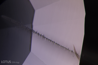 Fingerprint (viewed perpendicular to the fingerprint plane) in an unheated Madagascar sapphire.