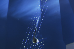 An arrow points the way. This fingerprint creates an arrow pattern decorating an unheated Madagascar sapphire.