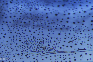 Melted fingerprints showing heat altered octahedra give evidence of heat treatment in this cobalt diffused spinel.