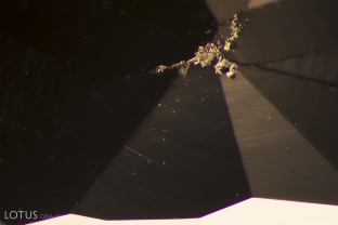 The small pinpoints in this image are gas bubbles confirming the synthetic nature of this flame-fusion sapphire.