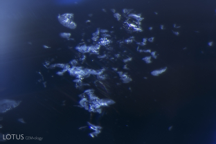 This heated  sapphire shows signs of treatment with these shallow, heat-altered fingerprints.