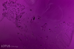 Fingerprints are simply healed fissures composed of a pattern of tiny negative crystals. In this case, we can see negative crystals that contain tiny diaspore needles, along with flat hexagonal plates of graphite. Heat treatment will damage these negative crystals and so when intact, they offer proof that the gem has not been heat treated.