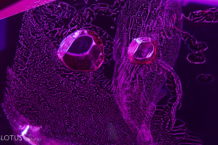 Melted crystals are surrounded by runny channels in the heat-altered fingerprints in this Thai/Cambodian ruby.