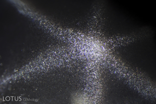 A-002-6909-1