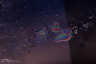 Sapphires treated with high temperatures and modest pressure (HT+P) sometimes contain ghost-like fingerprints with low relief crystals, when viewed in transmitted light. In crossed polars, these crystals stand out clearly and are birefringent. Using Lotus Gemology’s micro Raman unit, we have identified these crystals as recrystallized corundum.