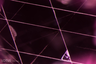 Rose channels (formerly thought to be boehmite needles) forming Star of David pattern in a flux healed Greenland pink sapphire. FOV ~2.5 mm