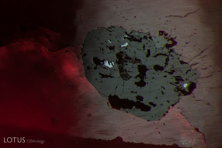 Tourmaline (lower luster) and primary rutile (metallic luster) crystals included in a trapiche sapphire from Batakundi, Pakistan; they were identified using Lotus Gemology’s micro Raman unit. FOV 2 mm