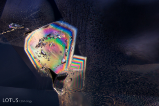 A-003-4578-1