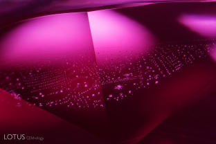 Spinel fingerprint in a red spinel. These consist of tiny octahedron-shaped negative crystals in a fingerprint pattern.