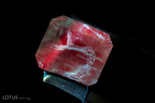 A-003-5923-1