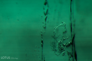 Colombian emeralds crystallize from a saline-based brine, remnants of which can be found as three-phase inclusions featuring jagged-edged liquid-filled pockets containing blocky crystals of halite (sodium chloride—rock salt).