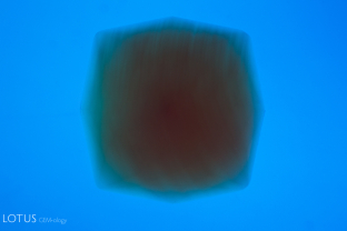 A-003-6041-1