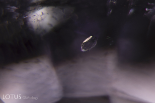 This small crystal in a cobalt blue spinel was examined by micro Raman and identified as calcite.