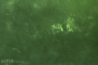 Micro shear zones in fei cui jade.