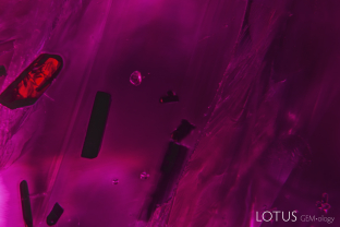 In this ruby believed to be from Afghanistan’s Jegdalek mines, dark orange to black tetragonal prisms were seen. We used micro Raman on one cut through at the surface to confirm its identity as primary rutile. In addition, there were several rounded transparent crystals. The one at the center of this photomicrograph proved to be zircon.