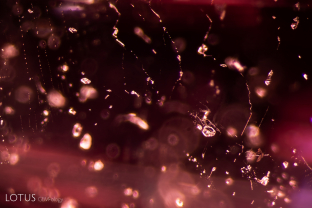 An irregular fingerprint (partially healed fissures) can be observed inside this spinel.