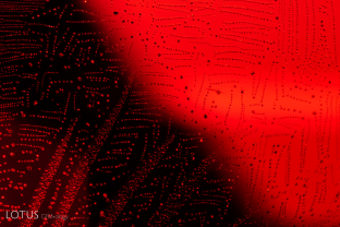 Fingerprints made up of tiny strings of octahedral crystals are a classic inclusion scene in spinel.