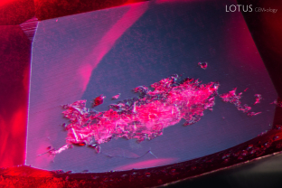 A cluster of mica crystals (identified with micro Raman) was cut through on the surface of this Mong Hsu ruby. Note the cottony diaspore silk that can be seen in the background, which is typical of material from this origin.