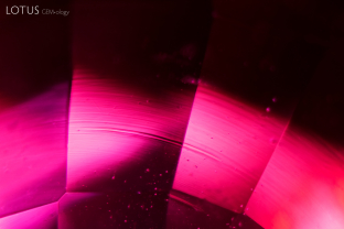 The curved striae and gas bubbles present here are a tell-tale sign that this ruby is a Verneuil synthetic.