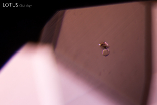 This tanzanite contained a pair of tiny, rounded crystals, which we were able to identify as diopside with micro Raman.