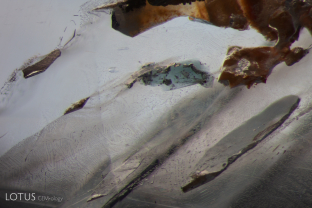 Ensconced between fingerprints and negative crystals in this sapphire is a green spinel crystal, which was identified with micro Raman.