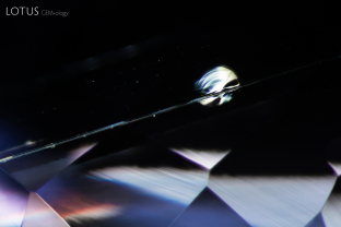 Upon careful observation we spotted a glassy discoid fracture around a tube-like inclusion in this tanzanite.