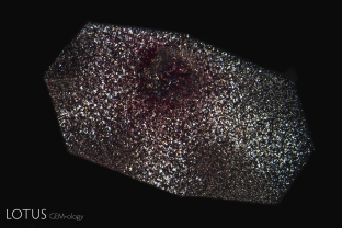 This sapphire from East Africa displayed an unusual trapiche-like pattern in reflected light. This was created by exsolution of Fe-rich silk.