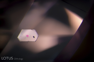 This lavender-colored spinel from Vietnam’s Yen Bai area contained a thin transparent birefringent crystal. The crystal contained several included crystals of its own, as demonstrated by viewing it between crossed polars.