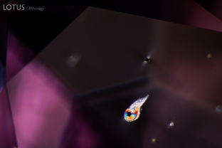 The bright crystal displaying interference colors when viewed between crossed polars was identified with micro Raman as pargasite. Above the pargasite crystal we can also see a crystal showing a strain patter. This dark crystal is likely a uraninite.