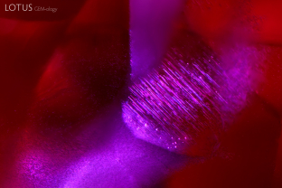 A dusting of rutile silk needles appears to glide inside this ruby from Mogok, Myanmar (Burma).