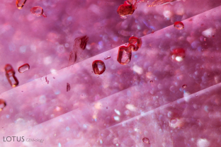 A number of blocky apatite crystals can be observed in this ruby from East Africa. Interspersed with the crystals we can also see polysynthetic twin planes and particles of silk.