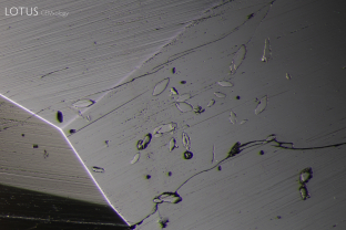 Several solid inclusions can be observed in this emerald. When viewed in reflected light where cut through, we can see that their luster is just slightly different from that of the host emerald. Analysis with micro Raman revealed that these crystals are tremolite (amphibole).