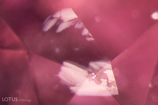 The fuzzy appearance of this fingerprint suggests that its host sapphire has been subject to heat treatment.