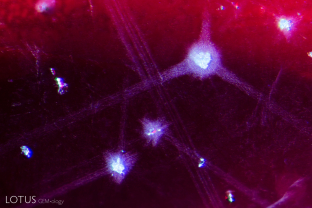 Star-like accretion halos give the interior of this spinel a galactic appearance.