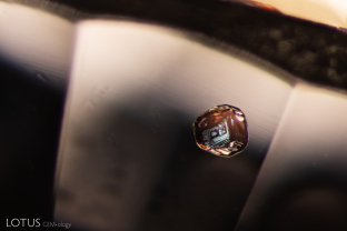 When we examined this sapphire from Montana, USA, a small orange crystal stood out. Analysis with micro Raman identified it as a garnet inclusion.