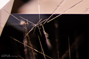 Large needles appear to point to a group of tiny crystals in this spinel.