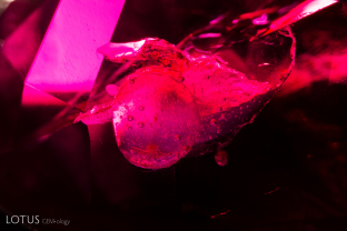 A-004-6354-1