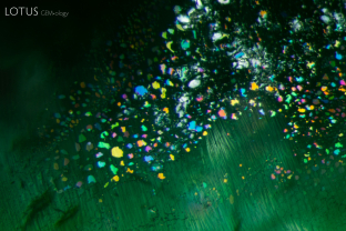The thin films present in this Russian emerald show dazzling interference colors.