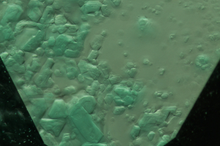 Irregularities in the crystal structure create the roiled “gota de aceite,” (Spanish for “drop of oil”) effect in this emerald. This effect is often associated with Colombian emeralds.