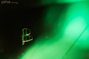 This crystal in an emerald looked just like a “B.” Perhaps that is fitting for a member of the “B”eryl family!