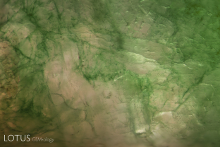 Dye concentrations are clearly visible in the fissures of this piece of fei cui jade, which was also polymer impregnated (B+C fei cui jade).