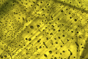 A-005-0107-1