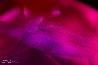 Wispy, cottony diaspore silk, as depicted here, is a common inclusion in rubies from Myanmar’s Mong Hsu mines.