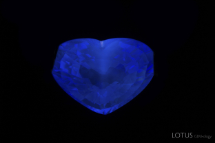 The large majority of tanzanites do not fluoresce to ultraviolet light. However, in rare cases, such as this violet tanzanite, traces of rare earth elements (REE) can create a blue fluorescence to long-wave UV radiation. The REE was detectable with PL and UV-Vis-NIR spectroscopy as well as chemical analysis.