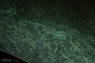 The fissures of this dyed (C-jade) fei cui bangle display a chalky appearance when exposed to longwave UV illumination.
