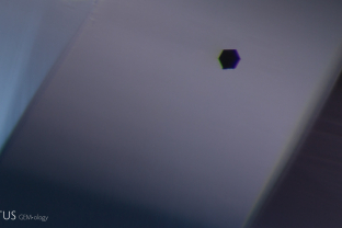 This tanzanite hosts a euhedral graphite inclusion, identified by micro-Raman spectroscopy. Its well developed crystal habit is consistent with crystallization in the hexagonal crystal system.