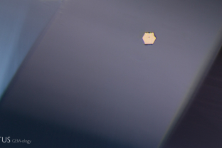 This tanzanite hosts a euhedral graphite inclusion, identified by micro-Raman spectroscopy. The crystal displays a distinctive metallic luster.
