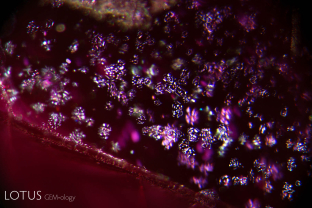 Thin film inclusions in the basal plane are a common feature of many Thai-Cambodian rubies.
