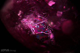 This fingerprint in a heat-treated ruby from the Thai/Cambodian border displays the underlying atomic symmetry by the pattern of healing. The healed areas are hexagonal in shape, showing that the fingerprint lies in the basal plane.